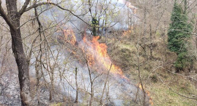 Esquerda Unida esixe prevención, vixilancia e penas máis duras contra os incendiarios