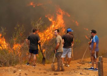 Incendios forestales en Chile: 18 comunas se mantienen con Alerta Roja