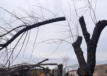 El Ayuntamiento de Villasbuenas de Gata (Cáceres), nuevo nominado a La Motosierra de Atila 2024