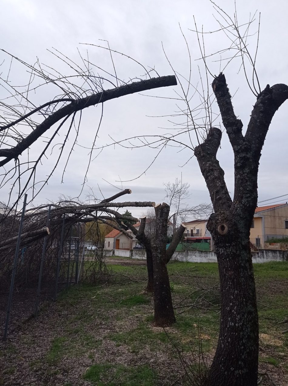 El Ayuntamiento de Villasbuenas de Gata (Cáceres), nuevo nominado a La Motosierra de Atila 2024