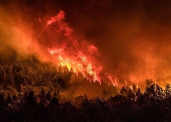 Incendio arrasa con 2.500 hectáreas en Chubut, Argentina