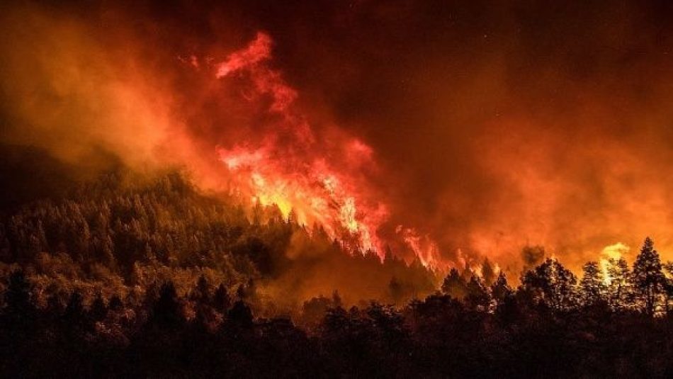 Incendio arrasa con 2.500 hectáreas en Chubut, Argentina