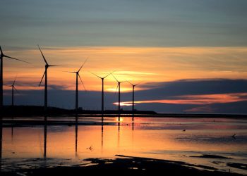 Las principales organizaciones ecologistas lanzan una propuesta para un desarrollo justo y sostenible de la energía eólica marina en España
