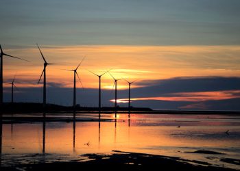Las principales organizaciones ecologistas lanzan una propuesta para un desarrollo justo y sostenible de la energía eólica marina en España