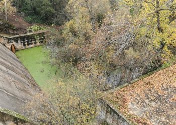 Grupos ecologistas recurren el archivo del expediente de extinción de la presa Los Rosales en Parquelagos