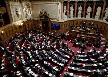 Luz verde a la constitucionalización del aborto en Francia