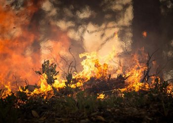 CCOO exige una investigación exhaustiva del incendio de Cabuérniga que costó la vida a un bombero