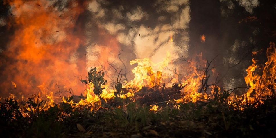 CCOO exige una investigación exhaustiva del incendio de Cabuérniga que costó la vida a un bombero
