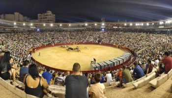 Asturies Antitaurina urge a la Junta General a proteger a los menores de la violencia de la tauromaquia