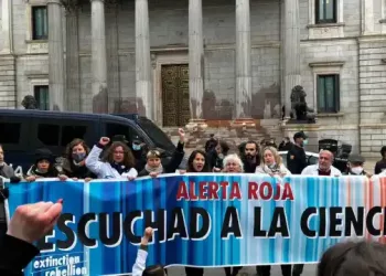 Comunicado de Asturies pol Clima y colectivos ambientales y sociales en apoyo y contra la represión al activismo
