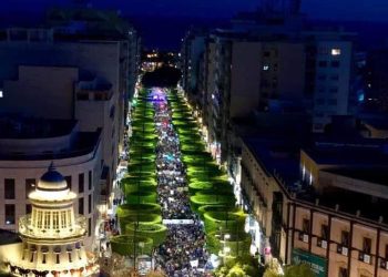 Para Verdes Equo Almería es el momento de un 8M ecofeminista