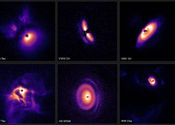 Así se ven docenas de discos de formación planetaria alrededor de sus estrellas