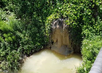 Coordinadora Ecoloxista d´Asturies denuncia otra multa testimonial por los vertidos del Ayuntamiento de Gijon al río Pinzales