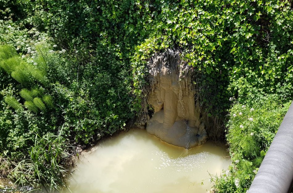 Coordinadora Ecoloxista d´Asturies denuncia otra multa testimonial por los vertidos del Ayuntamiento de Gijon al río Pinzales