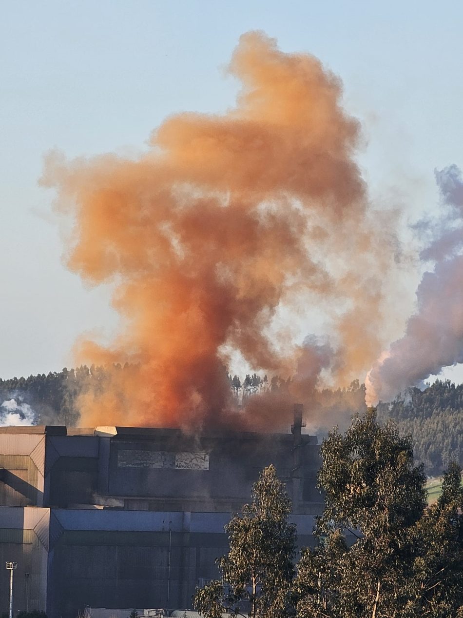 Coordinadora Ecoloxista d’Asturies: «Arcelor Mittal tiene que dejar de contaminar en Carreño»