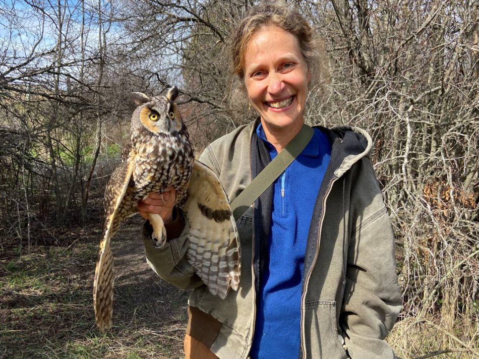 Jennifer Ackerman, escritora y divulgadora científica: “Es posible que los búhos sean muy inteligentes, pero de una forma que no podemos apreciar ni medir”