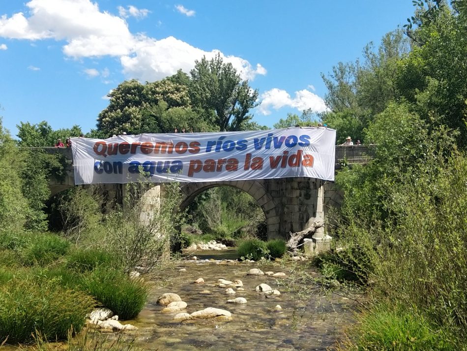 Más de ochenta colectivos denuncian, un año más, el deficiente estado de los ríos de la cuenca del Tajo