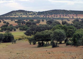 Alegaciones al proyecto «Neodimio»: Sí a la Tierra Viva considera que el plan de Quantum Minería para buscar tierras raras en Ciudad Real no es compatible con la protección del medioambiente y carece de licencia social