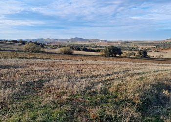 Sí a la Tierra Viva pide a la Junta de Castilla-La Mancha denegar el proyecto de investigación de Quantum Minería para buscar tierras raras en Ciudad Real