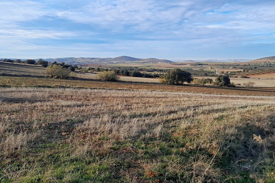 Sí a la Tierra Viva pide a la Junta de Castilla-La Mancha denegar el proyecto de investigación de Quantum Minería para buscar tierras raras en Ciudad Real