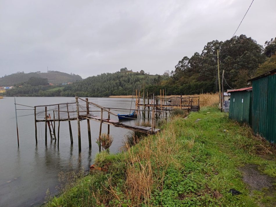 Acabó la campaña de la pesca de la angula, una especie que llevamos a su desaparición