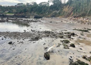 Vuelven a sancionar al Ayuntamiento de Gozón por los vertidos de aguas residuales que acaban en la playa del Dique en Luanco