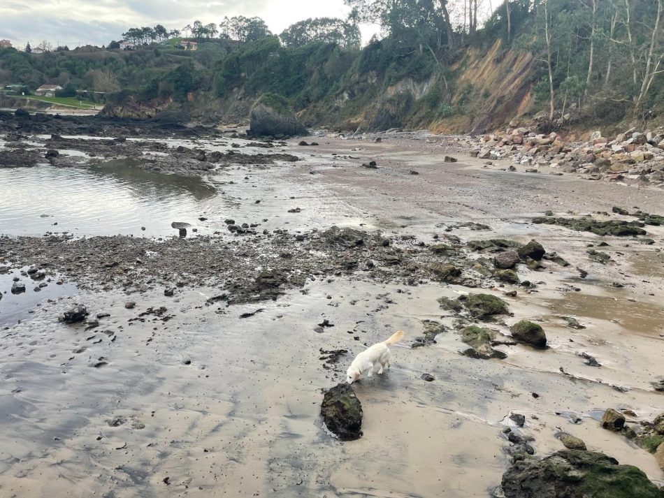 Vuelven a sancionar al Ayuntamiento de Gozón por los vertidos de aguas residuales que acaban en la playa del Dique en Luanco