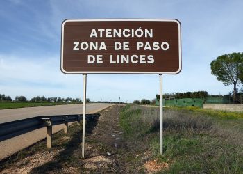 Especialistas, productores y vecinos fundamentan su oposición al proyecto para buscar tierras raras en Ciudad Real: «El plan de Quantum Minería no es ni socialmente aceptable ni ambientalmente sostenible»