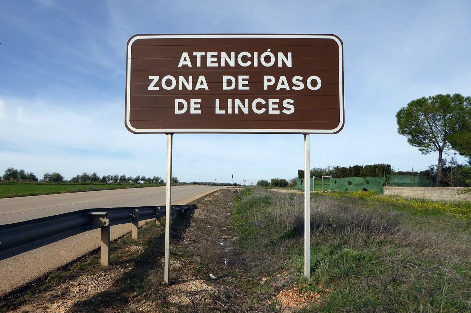 Especialistas, productores y vecinos fundamentan su oposición al proyecto para buscar tierras raras en Ciudad Real: «El plan de Quantum Minería no es ni socialmente aceptable ni ambientalmente sostenible»