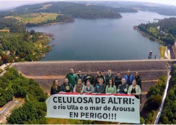 Organizacións ecoloxistas piden ao Goberno central que non destine cartos públicos ao nocivo proxecto de celulosa na Ulloa