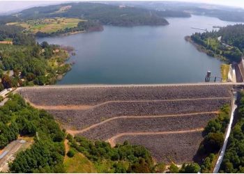 Organizaciones ecologistas piden al Gobierno central que no destine dinero público al dañino proyecto de celulosa en A Ulloa