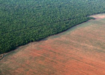 El cambio en los usos de la tierra disminuyó  la biodiversidad en siglo XX