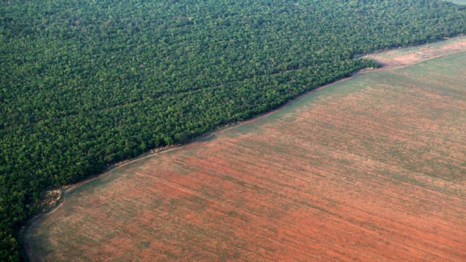 El cambio en los usos de la tierra disminuyó  la biodiversidad en siglo XX