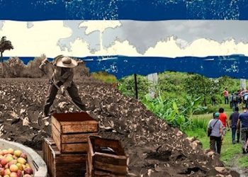 Movimiento La Vía Campesina demandó fin del bloqueo a Cuba