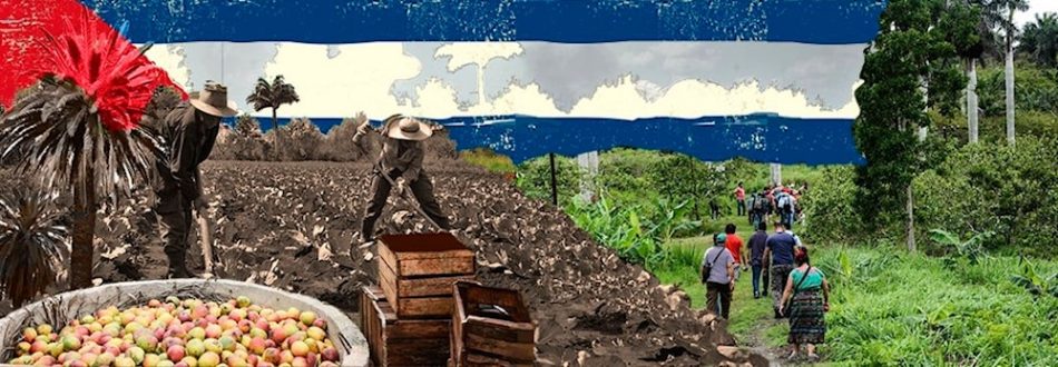 Movimiento La Vía Campesina demandó fin del bloqueo a Cuba