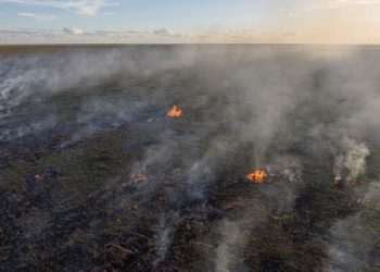 Una investigación independiente descubre que Zara y H&M están vinculados a la deforestación ilegal, el acaparamiento de tierras y la violencia