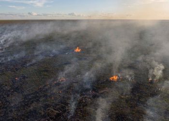 Una investigación independiente descubre que Zara y H&M están vinculados a la deforestación ilegal, el acaparamiento de tierras y la violencia 