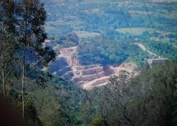 La Coordinadora Ecologista pide que se mantenga el transporte de mercancías en trenes a la factoría de Arcelor Mittal