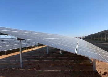 Ecologistas en Acción de Extremadura alegará a la planta fotovoltaica de Calzadilla en Cáceres