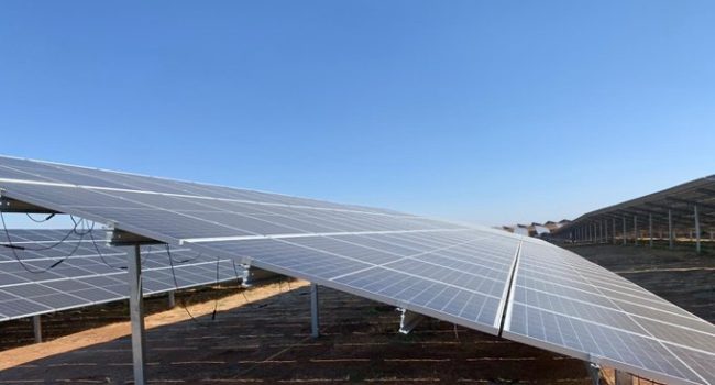 Ecologistas en Acción de Extremadura alegará a la planta fotovoltaica de Calzadilla en Cáceres
