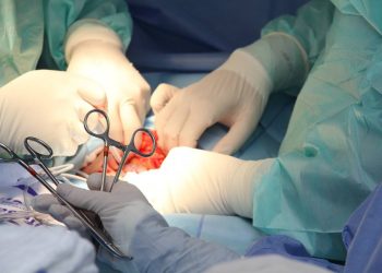 España logra un nuevo récord: 48 trasplantes de órganos en 24 horas
