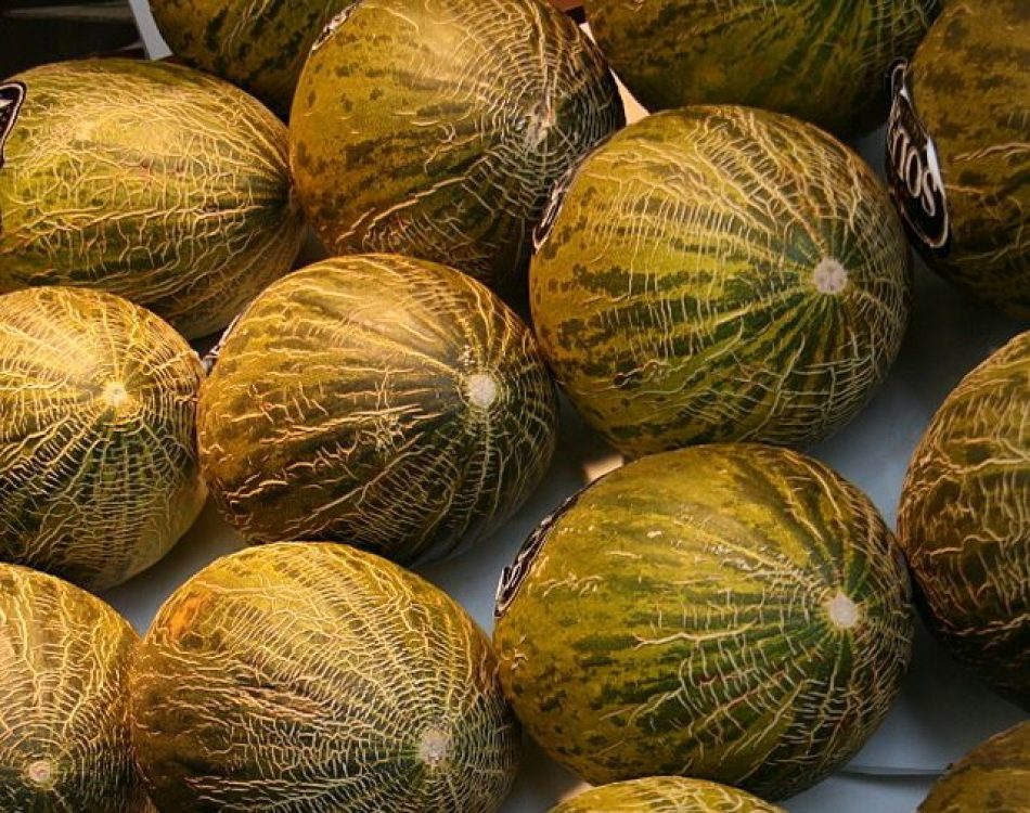 Alertan de la presencia de residuos de pesticida por encima de lo permitido en melones procedentes de Marruecos