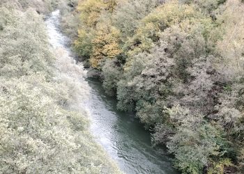 El próximo domingo comienza la temporada de pesca con muerte de salmón en los ríos asturianos, temporada que se cerrará el 15 de julio