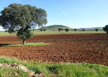 Nuevo mazazo para la credibilidad empresarial de Quantum Minería: Sí a la Tierra Viva denuncia a la promotora del proyecto de exploración de tierras raras en Ciudad Real por insolvencia técnica y financiera