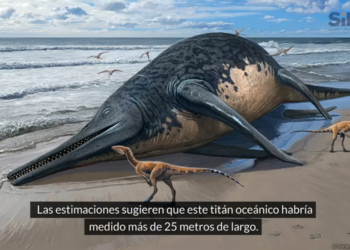 Un ictiosaurio gigante hallado en Reino Unido podría ser el mayor reptil marino de la historia
