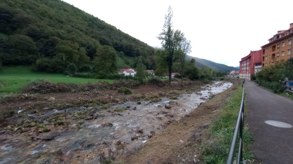 Sancionan el Ayuntamiento de Aller por la tala brutal del bosque de ribera del río San Isidro en Felechosa