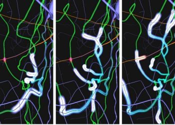 Virtual Brain Twin, un ‘doble’ del cerebro para transformar la atención psiquiátrica