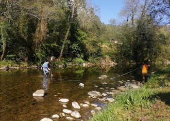 Red Cambera pone en marcha una nueva campaña de inspección de los ríos de Cantabria