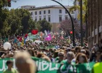 Los representantes del profesorado de la educación pública de Cádiz denuncian la falta de compromiso de la delegada territorial de educación con su profesorado