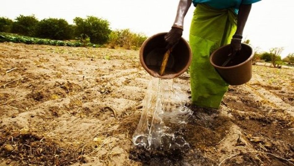 Lula da Silva anuncia el programa agrario Tierra de la gente